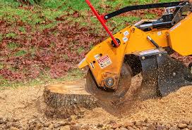 Best Organic Lawn Care Solutions  in Lockhart, TX
